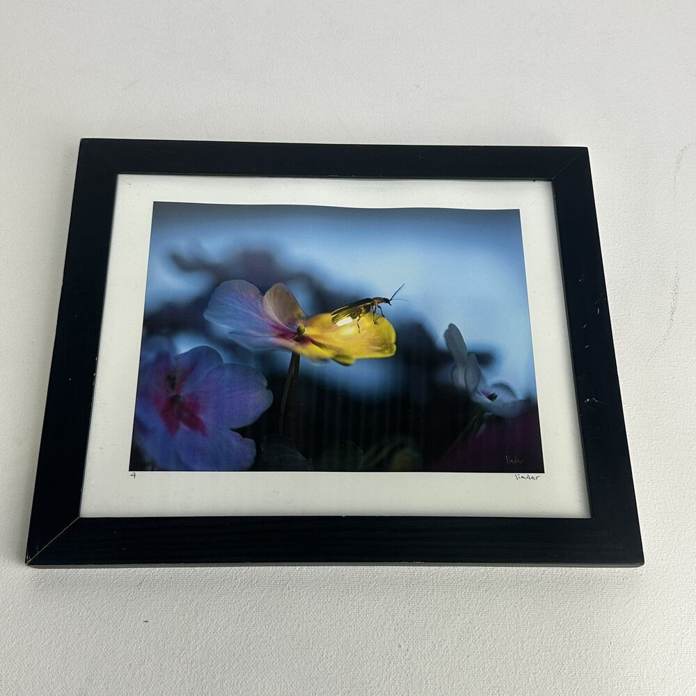bug dreams rick lieder framed fire fly on a flower wall art
